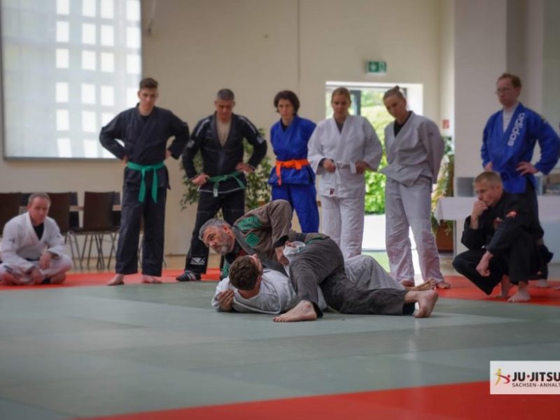 akademie 2019